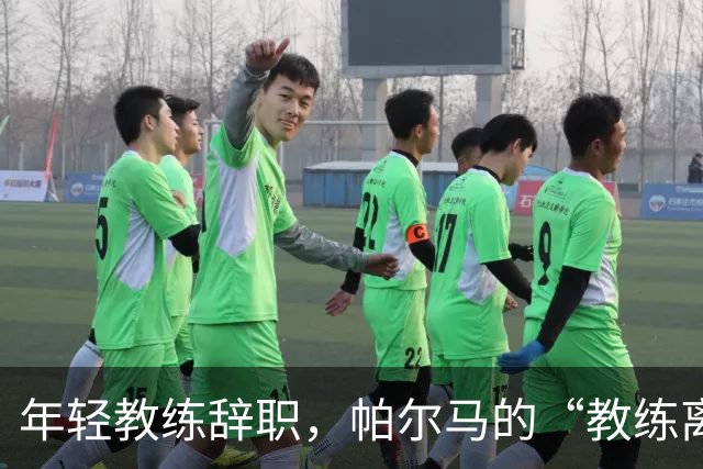 年轻教练辞职，帕尔马的“教练离婚”启示录