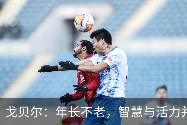 戈贝尔：年长不老，智慧与活力并存的篮球岁月