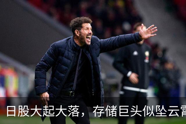 日股大起大落，存储巨头似坠云霄！